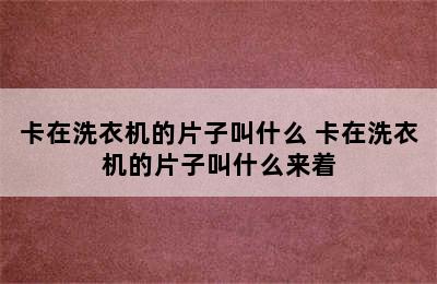 卡在洗衣机的片子叫什么 卡在洗衣机的片子叫什么来着